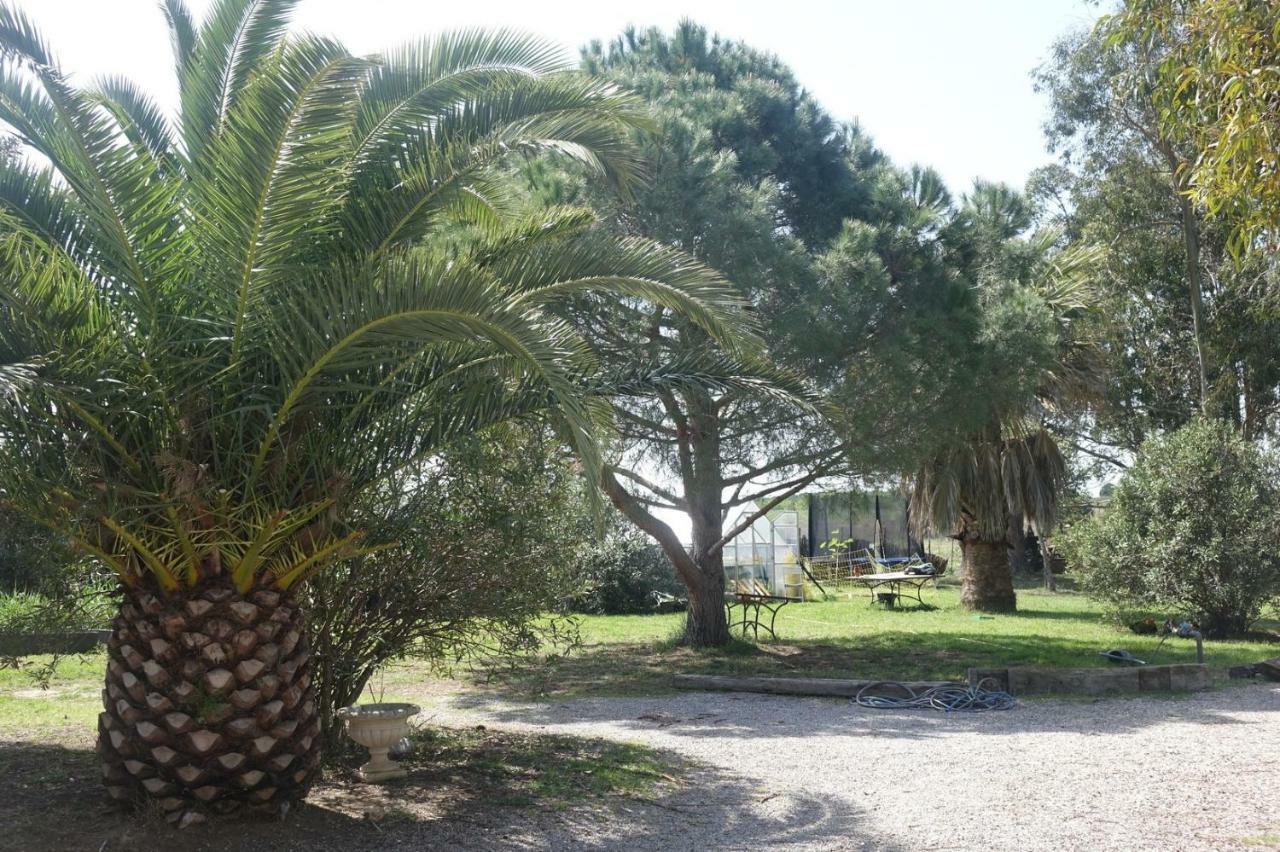 Mas Du Roc Vila Saint-Nazaire  Exterior foto